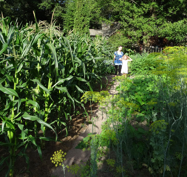 humanure composted garden